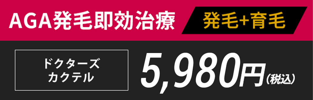 AGA発毛即効治療 19,800円(税込)　22,000円(税込)