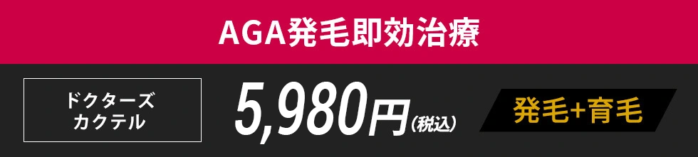 AGA発毛即効治療 19,800円(税込)　22,000円(税込)