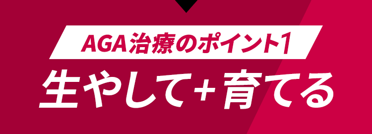 AGA治療のポイント1 生やして+育てる