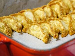 gyoza-760510_1920